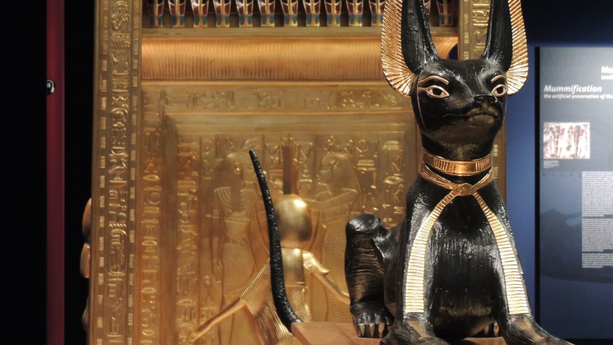 Los Gatos En El Antiguo Egipto Wasky